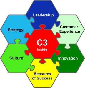 Consulting Customer-Centered Leadership Excellence C3